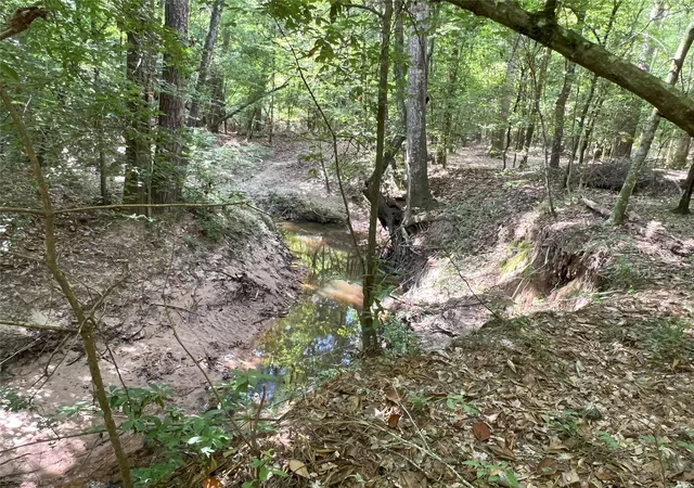 2nd image of Tbd Upper Leggett Rd, Leggett, TX 77350 | MLS# 85175636