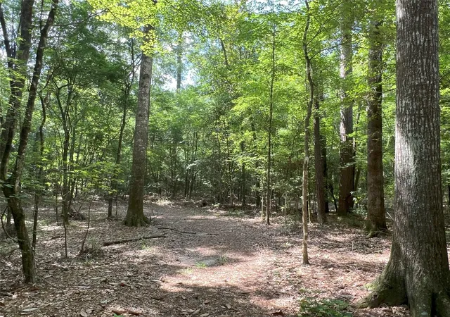 3rd image of Tbd Upper Leggett Rd, Leggett, TX 77350 | MLS# 85175636
