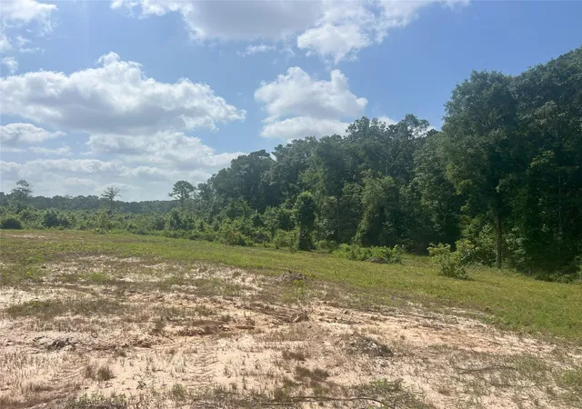 4th image of Tbd Upper Leggett Rd, Leggett, TX 77350 | MLS# 85175636