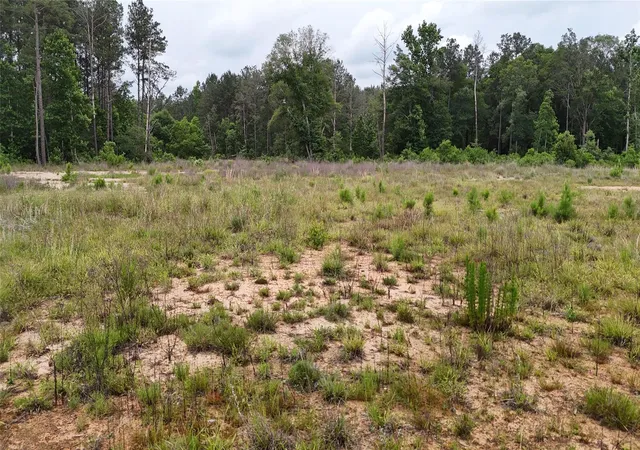 5th image of Tbd Hwy 92 N, Fred, TX 77616 | MLS# 27829805