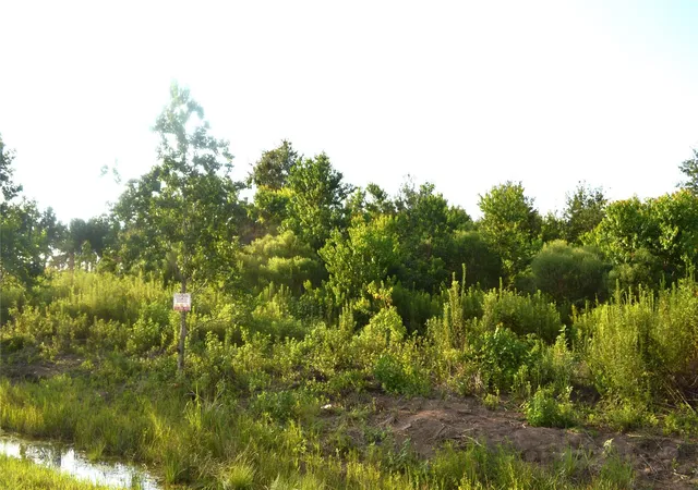 Photo 1 of Land for sale at 603 Road 5516, Cleveland, TX 77327 | MLS# 97139428 | Listing updated on 2026-09-23