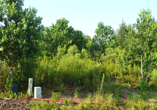 Photo 2 of Land for sale at 603 Road 5516, Cleveland, TX 77327 | MLS# 97139428 | Listing updated on 2026-09-23