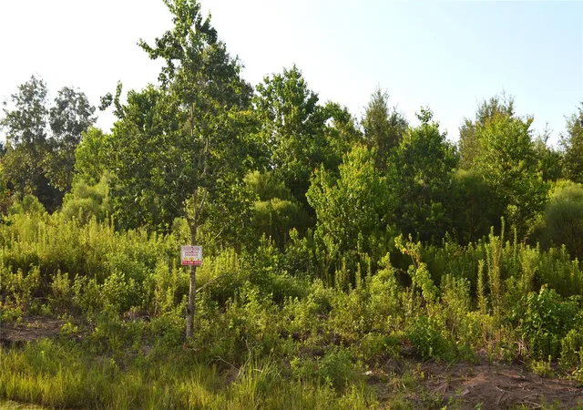 Photo 3 of Land for sale at 603 Road 5516, Cleveland, TX 77327 | MLS# 97139428 | Listing updated on 2026-09-23