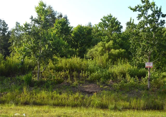 Photo 3 of Land for sale at 603 Road 5516, Cleveland, TX 77327 | MLS# 97139428 | Listing updated on 2026-09-23