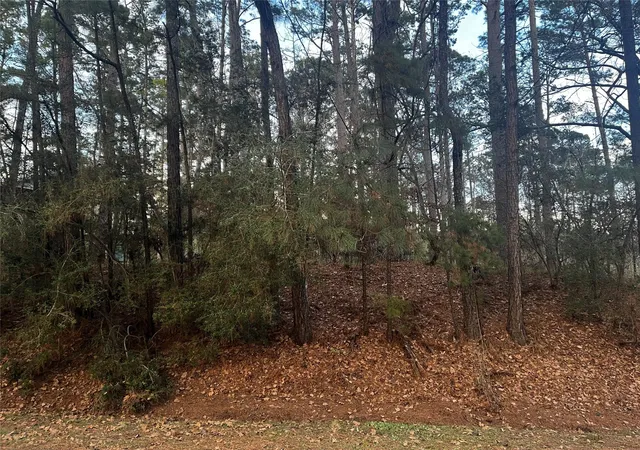 Photo 1 of Land for sale at 26 Sunny Hl Dr, Coldspring, TX 77331 | MLS# 69049475 | Listing updated on 2026-07-15