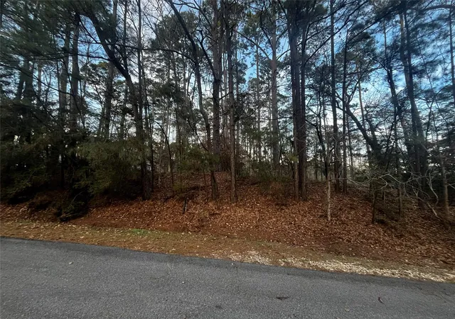 Photo 2 of Land for sale at 26 Sunny Hl Dr, Coldspring, TX 77331 | MLS# 69049475 | Listing updated on 2026-07-15