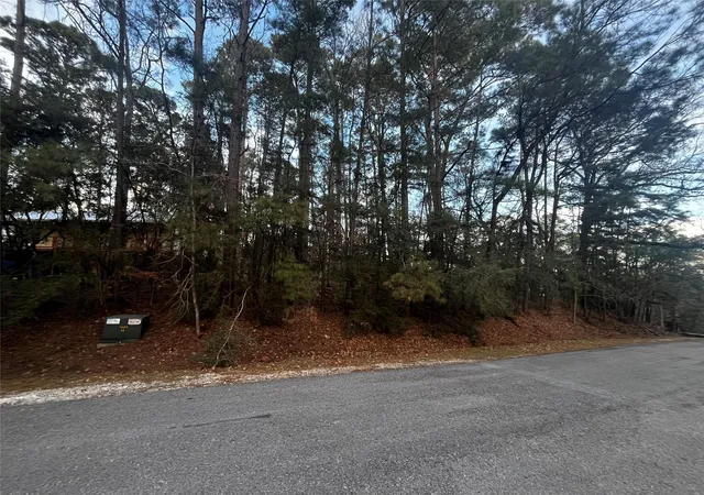 Photo 2 of Land for sale at 26 Sunny Hl Dr, Coldspring, TX 77331 | MLS# 69049475 | Listing updated on 2026-07-15