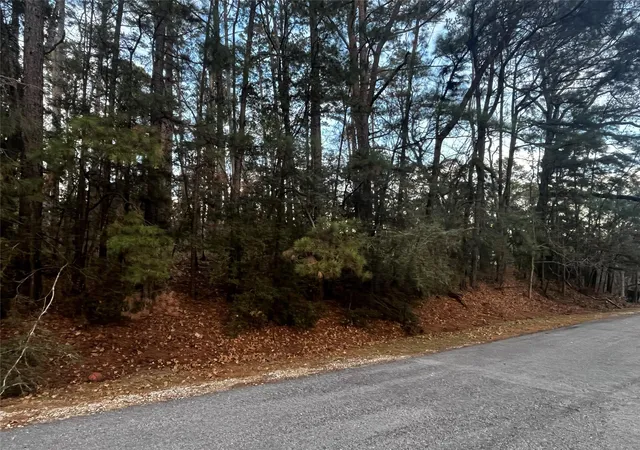 Photo 3 of Land for sale at 26 Sunny Hl Dr, Coldspring, TX 77331 | MLS# 69049475 | Listing updated on 2026-07-15