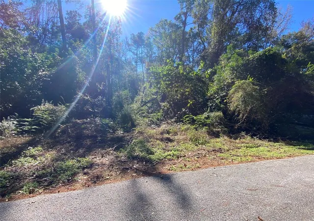 Photo 2 of Land for sale at 2223 Easley Cir, Huntsville, TX 77320 | MLS# 3947793 | Listing updated on 2025-05-20