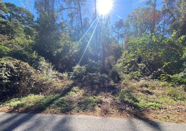 Photo 2 of Land for sale at 2223 Easley Cir, Huntsville, TX 77320 | MLS# 3947793 | Listing updated on 2025-05-20