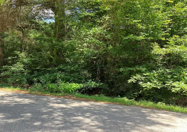 1st image of 0000 Brentwood Rd, Splendora, TX 77372 | MLS# 86659690