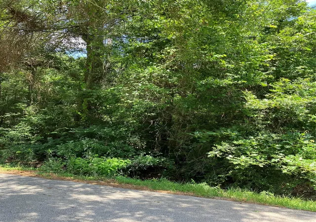 2nd image of 0000 Brentwood Rd, Splendora, TX 77372 | MLS# 86659690