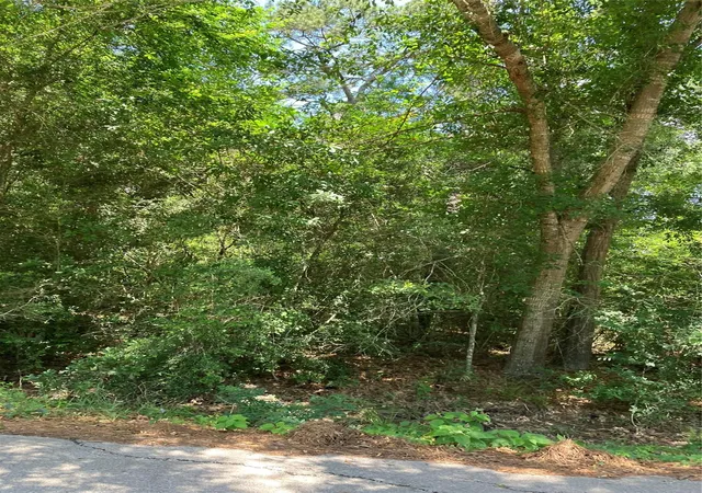 3rd image of 0000 Brentwood Rd, Splendora, TX 77372 | MLS# 86659690