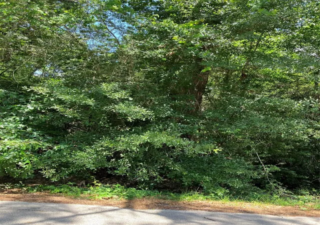 4th image of 0000 Brentwood Rd, Splendora, TX 77372 | MLS# 86659690
