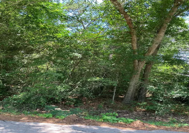 5th image of 0000 Brentwood Rd, Splendora, TX 77372 | MLS# 86659690