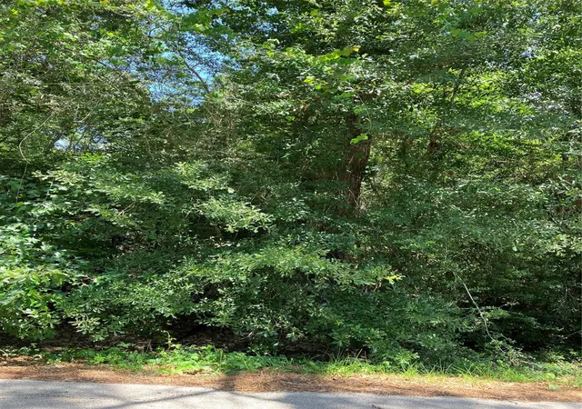 8th image of 0000 Brentwood Rd, Splendora, TX 77372 | MLS# 86659690