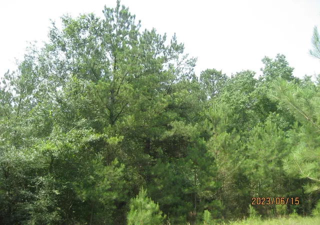 Photo 1 of Sale Pending at 0 Round Up Rd, Waller, TX 77484 | MLS# 47563471 | Listing updated on 2026-07-31