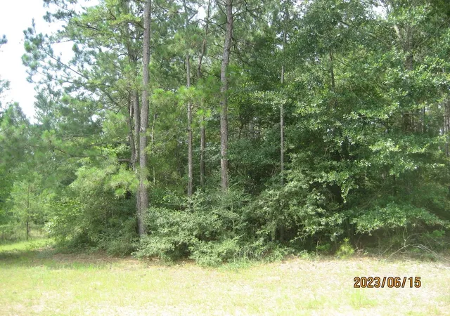 Photo 2 of Sale Pending at 0 Round Up Rd, Waller, TX 77484 | MLS# 47563471 | Listing updated on 2026-07-31