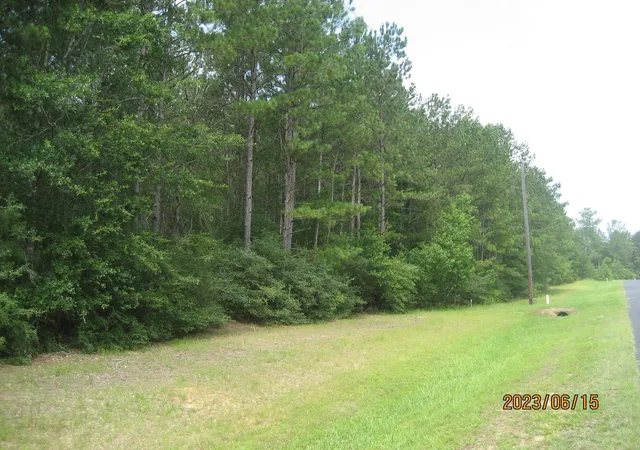 Photo 2 of Sale Pending at 0 Round Up Rd, Waller, TX 77484 | MLS# 47563471 | Listing updated on 2026-07-31