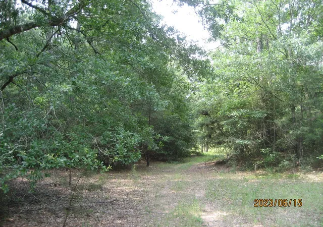 Photo 3 of Sale Pending at 0 Round Up Rd, Waller, TX 77484 | MLS# 47563471 | Listing updated on 2026-07-31