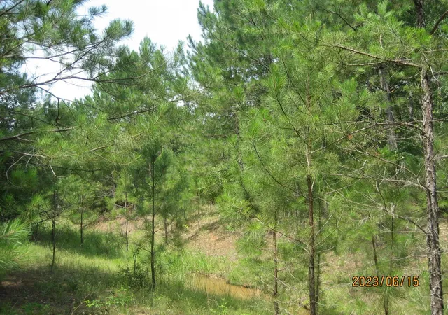 Photo 4 of Sale Pending at 0 Round Up Rd, Waller, TX 77484 | MLS# 47563471 | Listing updated on 2026-07-31