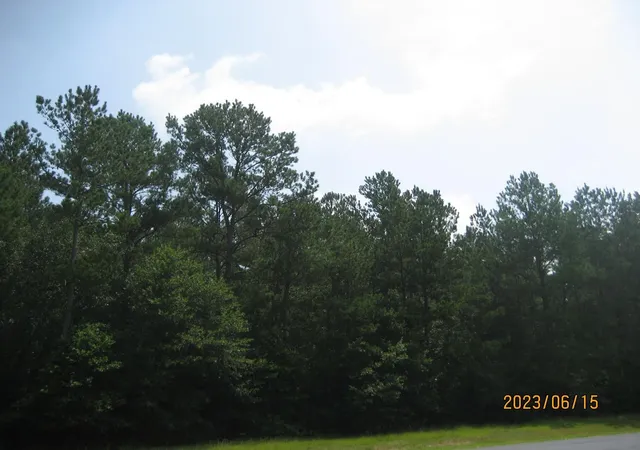 Photo 6 of Sale Pending at 0 Round Up Rd, Waller, TX 77484 | MLS# 47563471 | Listing updated on 2026-07-31