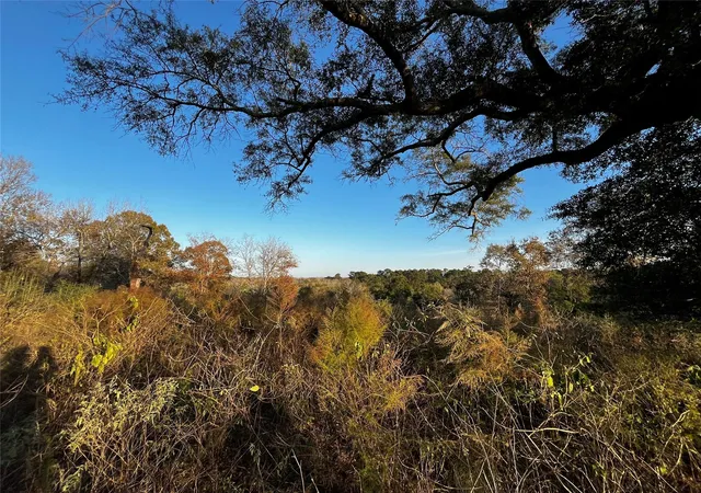 Photo 1 of Land for sale at 231 County Rd 2190, Cleveland, TX 77327 | MLS# 89160672 | Listing updated on 2026-06-02