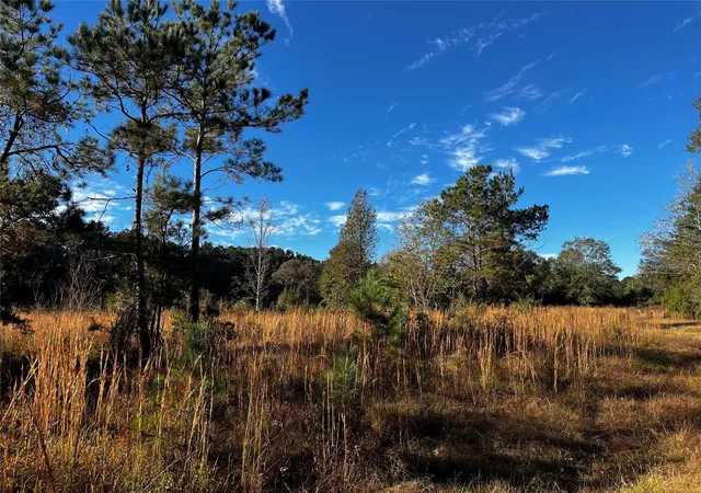 Photo 2 of Land for sale at 231 County Rd 2190, Cleveland, TX 77327 | MLS# 89160672 | Listing updated on 2026-06-02