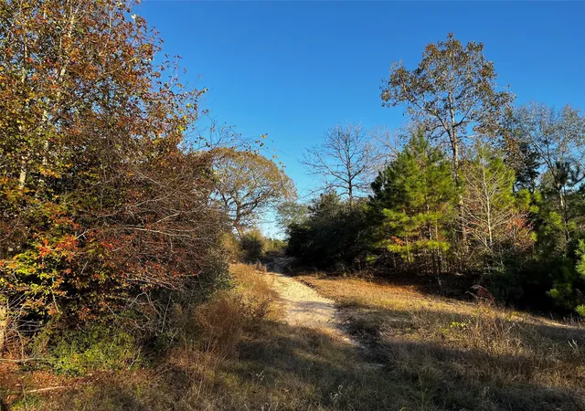 Photo 4 of Land for sale at 231 County Rd 2190, Cleveland, TX 77327 | MLS# 89160672 | Listing updated on 2026-06-02