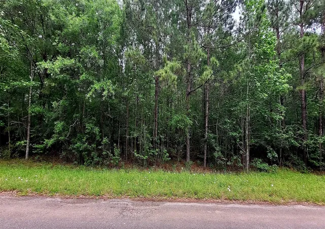 Photo 1 of Land for sale at Tbd Cr 349, Cleveland, TX 77327 | MLS# 12637384 | Listing updated on 2026-07-23