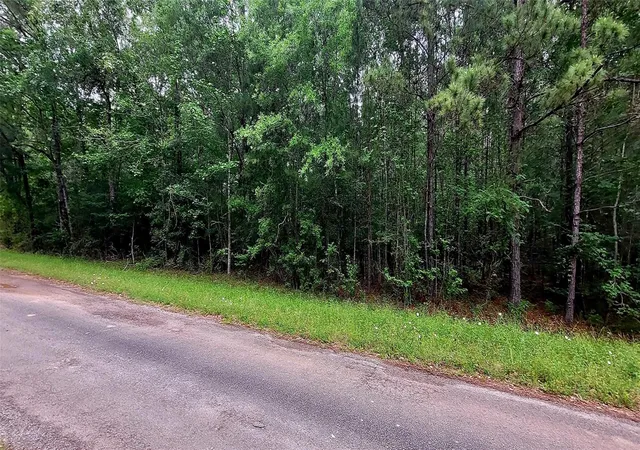 Photo 2 of Land for sale at Tbd Cr 349, Cleveland, TX 77327 | MLS# 12637384 | Listing updated on 2026-07-23