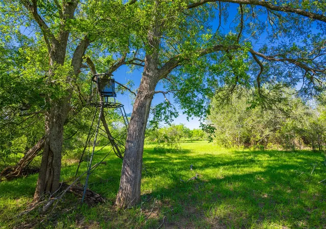 Homes for sale in Waelder, TX | 0 Sparta Field Road, Waelder, TX 78959 | MLS# 32901434