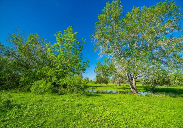 Homes for sale in Waelder, TX | 0 Sparta Field Road, Waelder, TX 78959 | MLS# 32901434