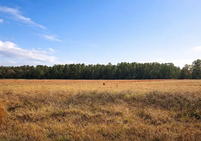 Photo 1 of Land for sale at Tbd Clearlake Ln, Crockett, TX 75835 | MLS# 64827665 | Listing updated on 2026-04-18