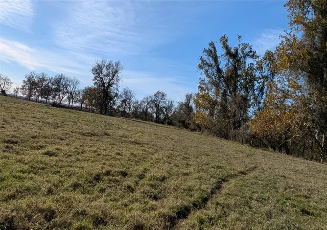31st image of 811 County Road 230, Wharton, TX 77488 | MLS# 35105911