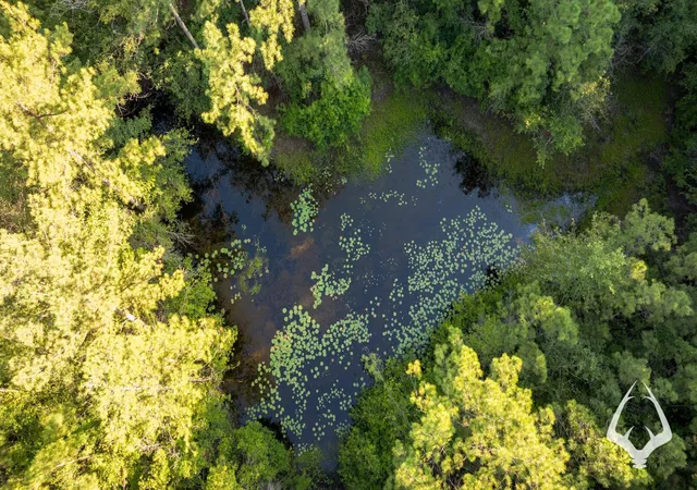 Photo 1 of Land for sale at 00 Fm 363, Newton, TX 75966 | MLS# 94082113 | Listing updated on 2026-08-29