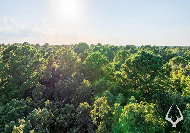 Photo 3 of Land for sale at 00 Fm 363, Newton, TX 75966 | MLS# 94082113 | Listing updated on 2026-08-29