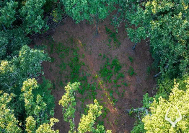 Photo 4 of Land for sale at 00 Fm 363, Newton, TX 75966 | MLS# 94082113 | Listing updated on 2026-08-29
