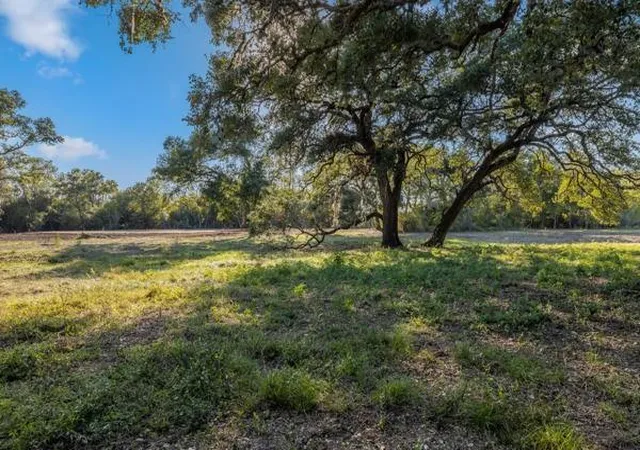 Homes for sale in Round Top, TX | Tbd Drake Lane-Lot 10, Round Top, TX 78954 | MLS# 15877754