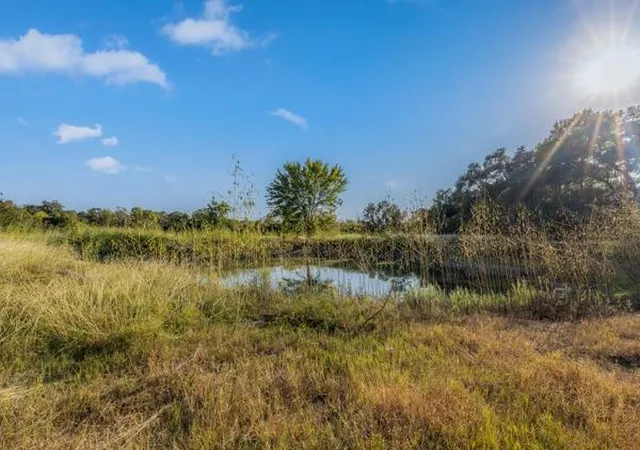 Homes for sale in Round Top, TX | Tbd Drake Lane-Lot 10, Round Top, TX 78954 | MLS# 15877754