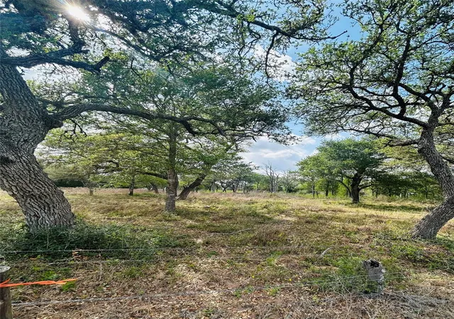 Homes for sale in Columbus, TX | 1390 County Road 106, Columbus, TX 78934 | MLS# 71846832