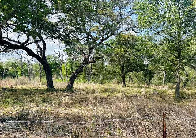 Homes for sale in Columbus, TX | 1390 County Road 106, Columbus, TX 78934 | MLS# 71846832