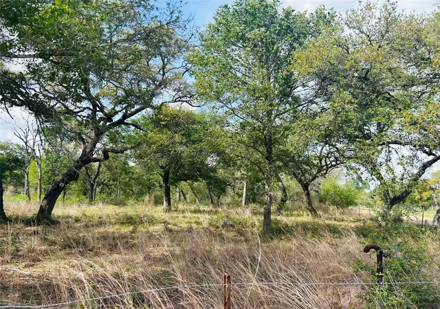 Homes for sale in Columbus, TX | 1390 County Road 106, Columbus, TX 78934 | MLS# 71846832