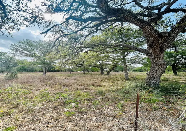 Homes for sale in Columbus, TX | 1390 County Road 106, Columbus, TX 78934 | MLS# 71846832