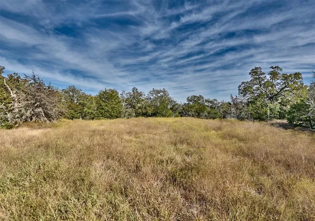 4th image of 371 Fm 60 East, Somerville, TX 77879 | MLS# 32087255