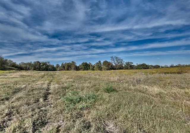 5th image of 371 Fm 60 East, Somerville, TX 77879 | MLS# 32087255