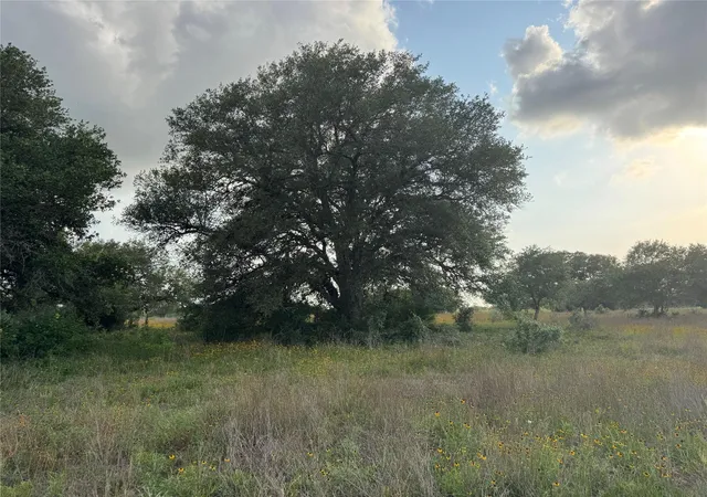 Homes for sale in Columbus, TX | Tbd Hwy 90A, Columbus, TX 78934 | MLS# 45468241