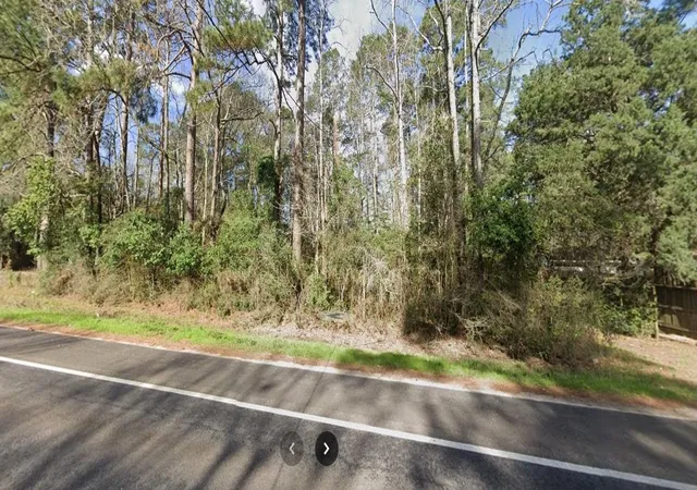 3rd image of 0 Byrd Ave, Shepherd, TX 77371 | MLS# 22934443