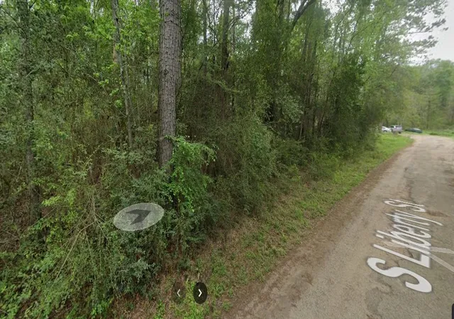 7th image of 0 Byrd Ave, Shepherd, TX 77371 | MLS# 22934443