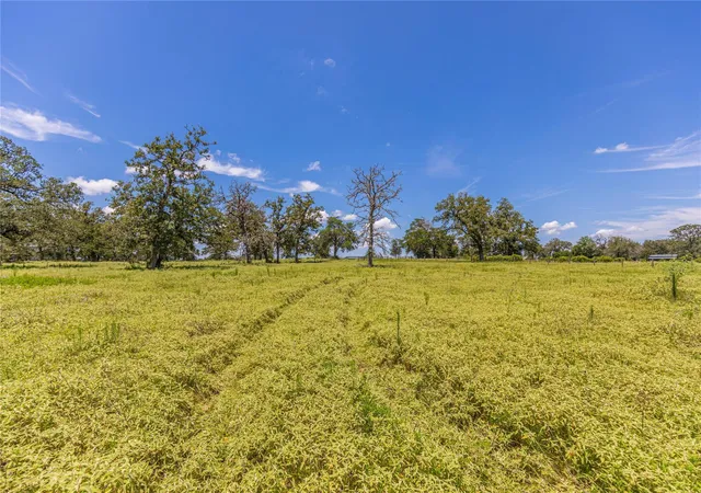 Homes for sale in New Ulm, TX | Lot 8 Mill Creek Ranch Rd, New Ulm, TX 78950 | MLS# 64134743